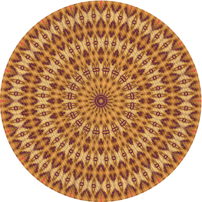 Square Machine Washable Transitional Mahogany Brown Rug in a Living Room, wshpat1398org