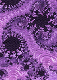 Machine Washable Transitional Purple Rug, wshpat1399pur