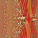 Sideview of Machine Washable Transitional Orange Rug, wshpat139