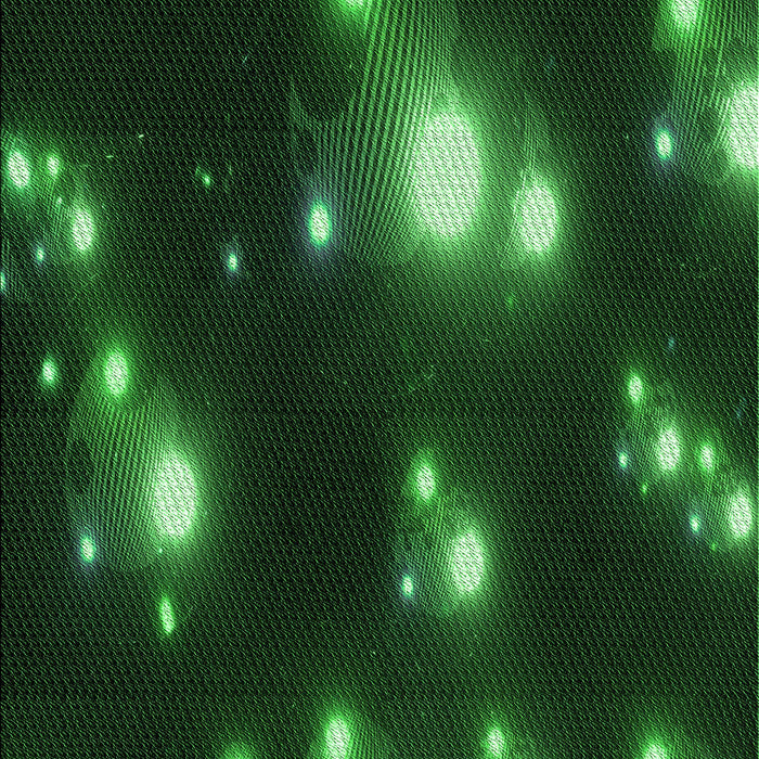 Machine Washable Transitional Black Rug, wshpat14grn