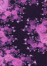 Machine Washable Transitional Dark Orchid Purple Rug, wshpat1402pur