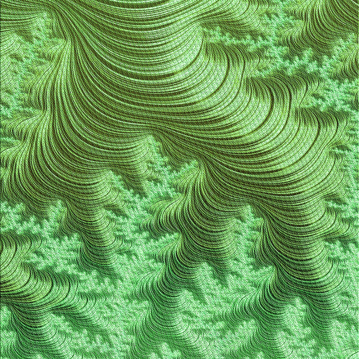 Machine Washable Transitional Green Rug, wshpat1403grn