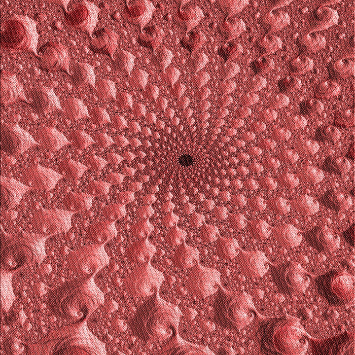 Machine Washable Transitional Red Rug, wshpat1405rd