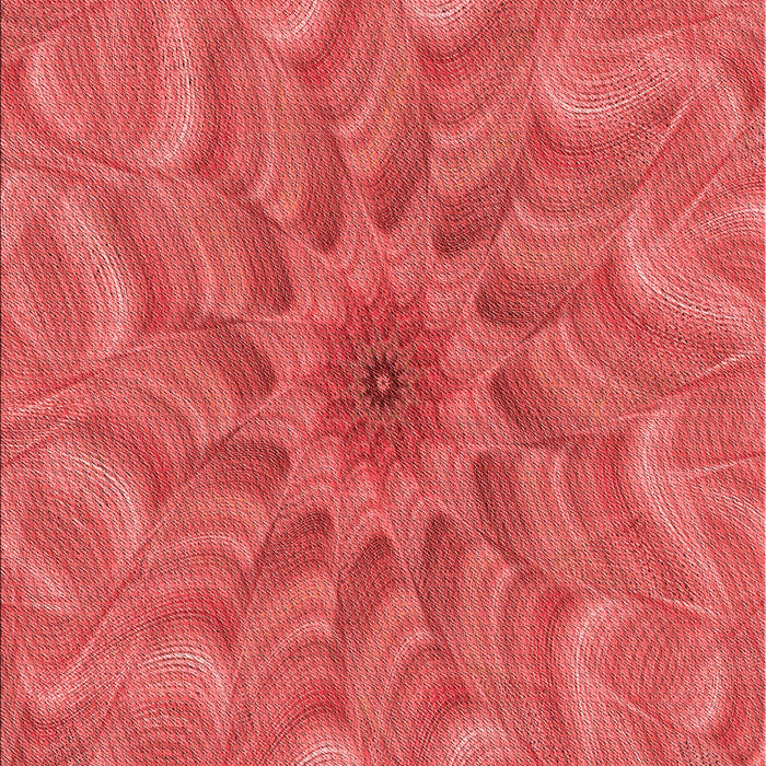 Patterned Red Rug, pat1406rd