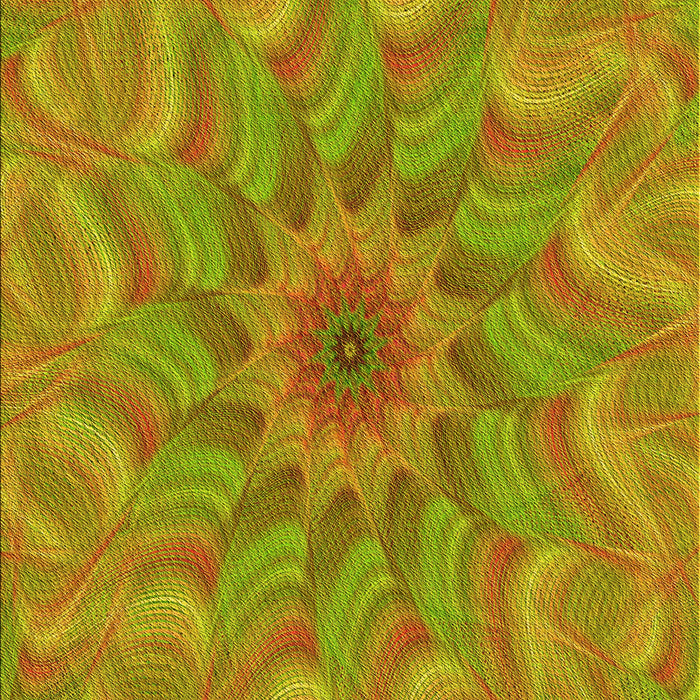 Machine Washable Transitional Brown Rug, wshpat1406yw