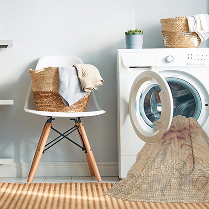 Machine Washable Transitional Brown Sand Brown Rug in a Washing Machine, wshpat1408brn