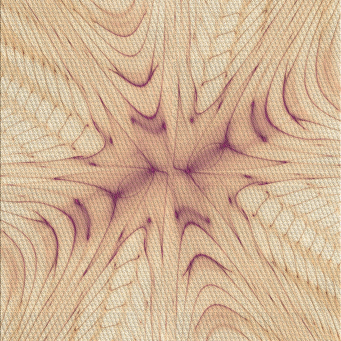 Machine Washable Transitional Brown Sand Brown Rug, wshpat1408brn