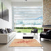 Square Patterned Pastel Orange Rug in a Living Room, pat1408org