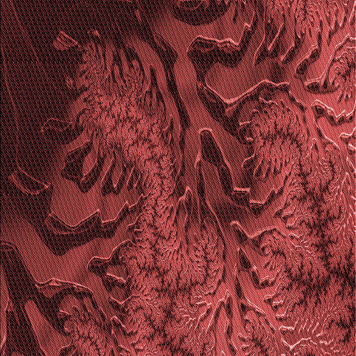 Patterned Maroon Red Rug, pat1409rd