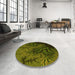 Round Patterned Olive Green Rug in a Office, pat1409yw