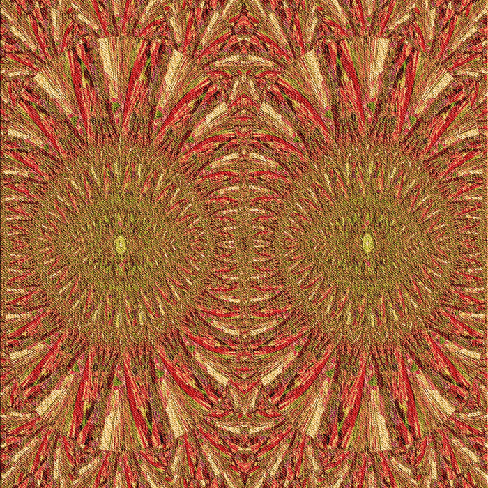 Machine Washable Transitional Orange Rug, wshpat141org