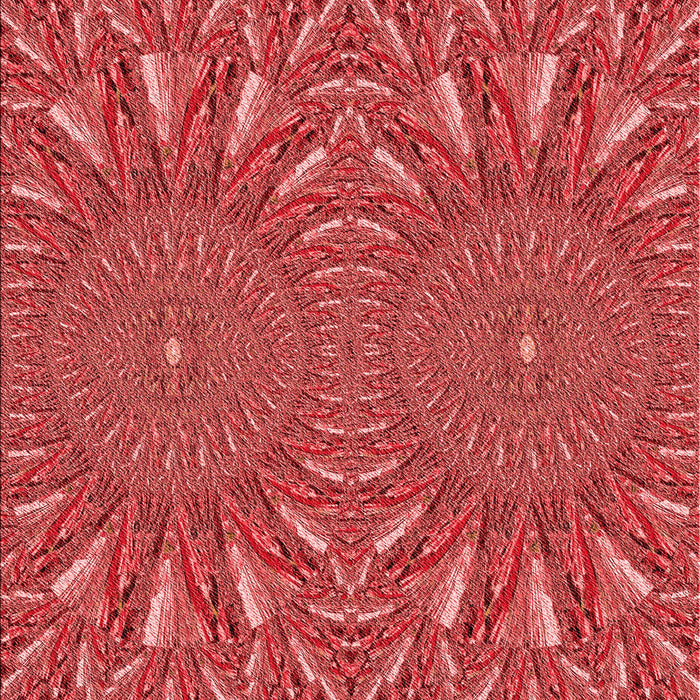 Machine Washable Transitional Red Rug, wshpat141rd