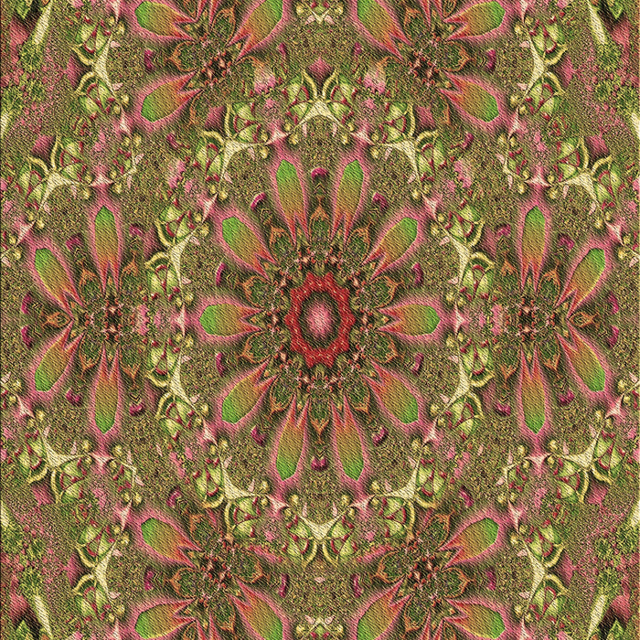 Patterned Caramel Brown Rug, pat1410brn