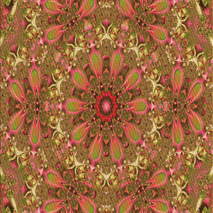 Machine Washable Transitional Cinnamon Brown Rug, wshpat1410org