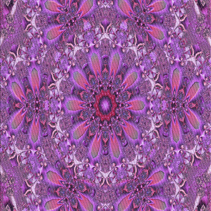 Machine Washable Transitional Purple Rug, wshpat1410pur