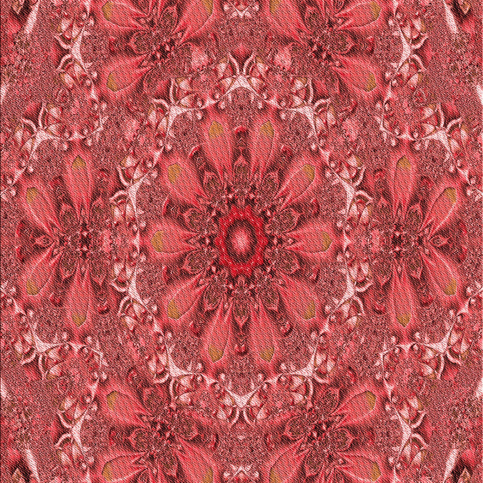 Machine Washable Transitional Red Rug, wshpat1410rd