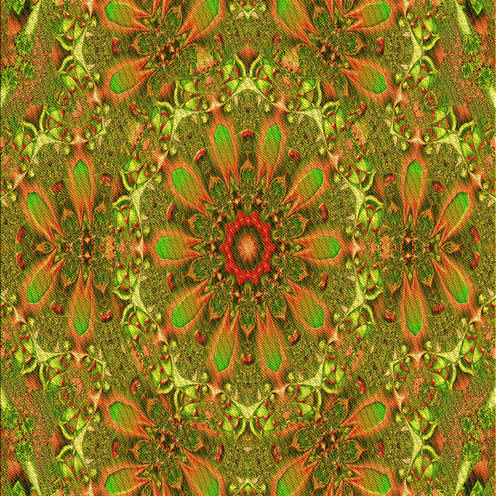 Machine Washable Transitional Pistachio Green Rug, wshpat1410yw