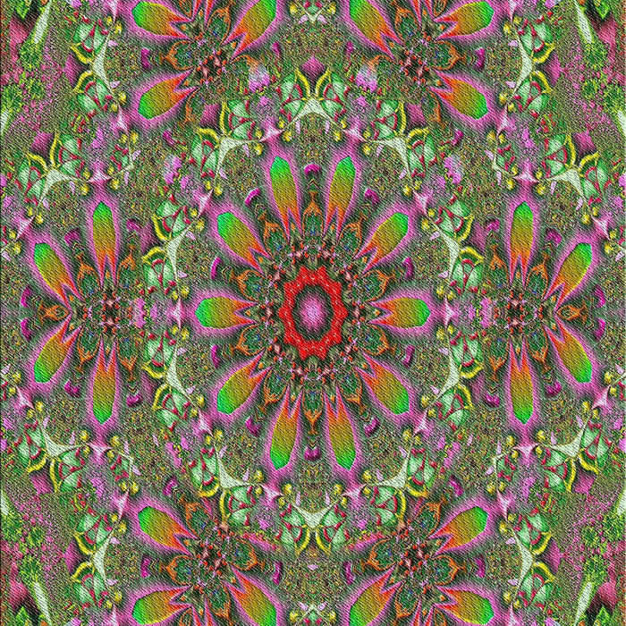 Patterned Maroon Purple Novelty Rug, pat1410