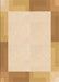 Machine Washable Transitional Khaki Gold Rug, wshpat1412org