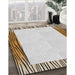 Machine Washable Transitional Brown Rug in a Family Room, wshpat1416