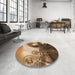 Round Patterned Brown Sand Brown Rug in a Office, pat1418brn