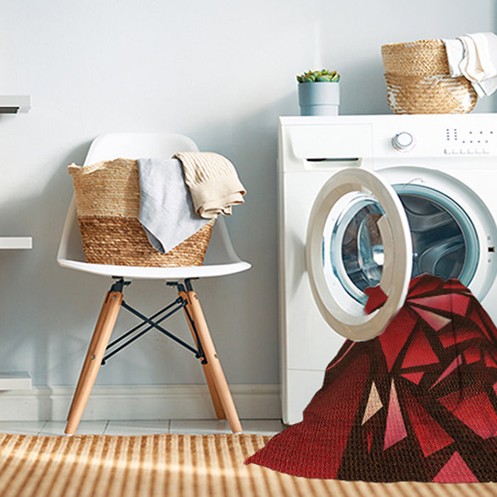 Machine Washable Transitional Tomato Red Rug in a Washing Machine, wshpat1419org
