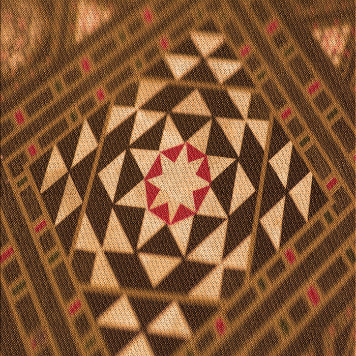 Machine Washable Transitional Red Brown Rug, wshpat1421org