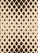 Patterned Sienna Brown Rug, pat1422org