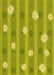 Patterned Dark Yellow Green Rug, pat1423yw