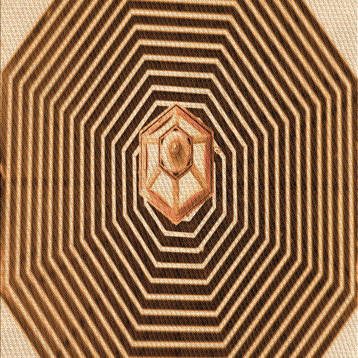Patterned Red Brown Rug, pat1427org