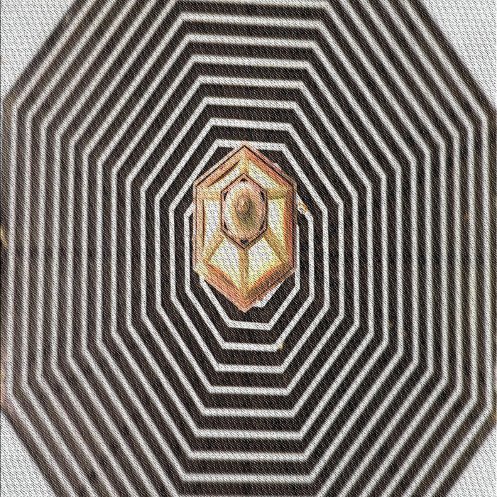 Patterned Burgundy Brown Novelty Rug, pat1427