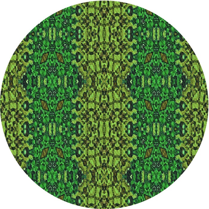 Square Machine Washable Transitional Dark Forest Green Rug in a Living Room, wshpat1429grn