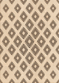 Machine Washable Transitional Light Brown Rug, wshpat143org