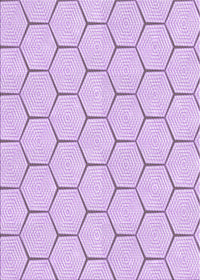 Machine Washable Transitional Orchid Purple Rug, wshpat1432pur