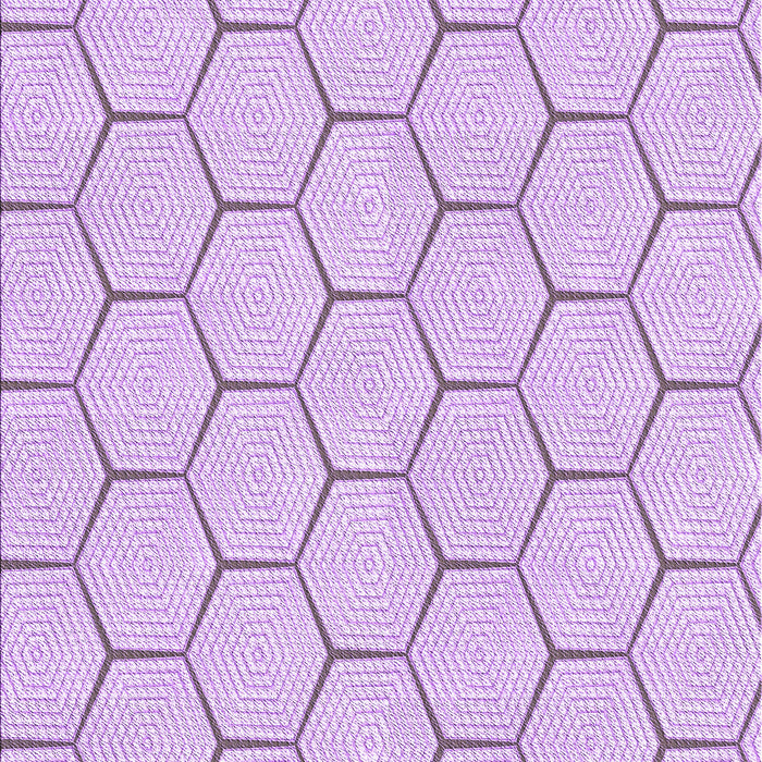 Machine Washable Transitional Orchid Purple Rug, wshpat1432pur