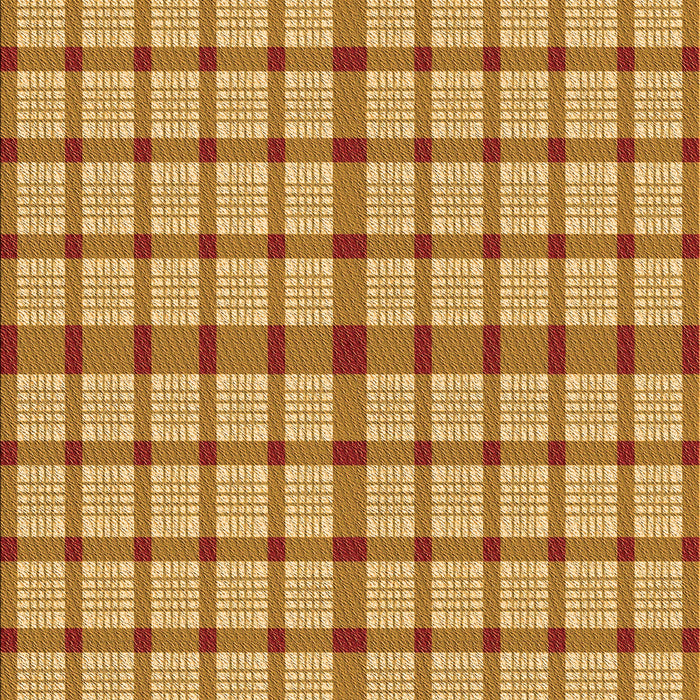 Machine Washable Transitional Orange Rug, wshpat1436org