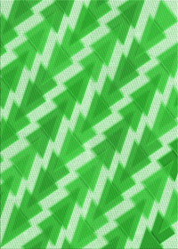 Machine Washable Transitional Neon Green Rug, wshpat1447grn