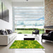 Machine Washable Transitional Pistachio Green Rug in a Kitchen, wshpat1453yw