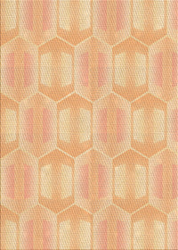 Machine Washable Transitional Orange Rug, wshpat1454org