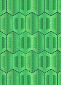 Machine Washable Transitional Neon Green Rug, wshpat1455grn