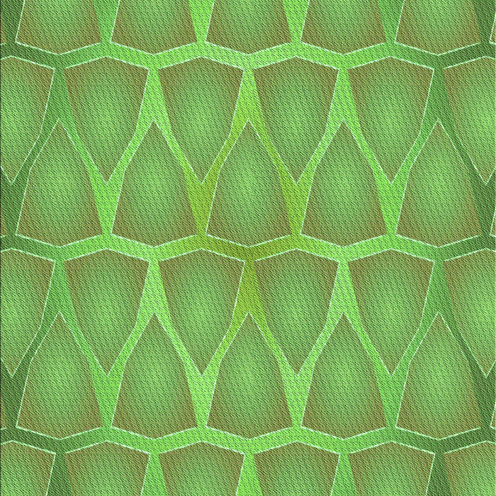 Machine Washable Transitional Dark Lime Green Rug, wshpat1456grn