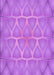 Machine Washable Transitional Purple Rug, wshpat1456pur