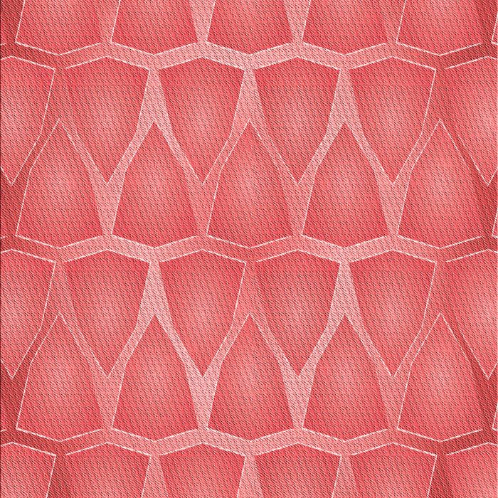 Patterned Red Rug, pat1456rd