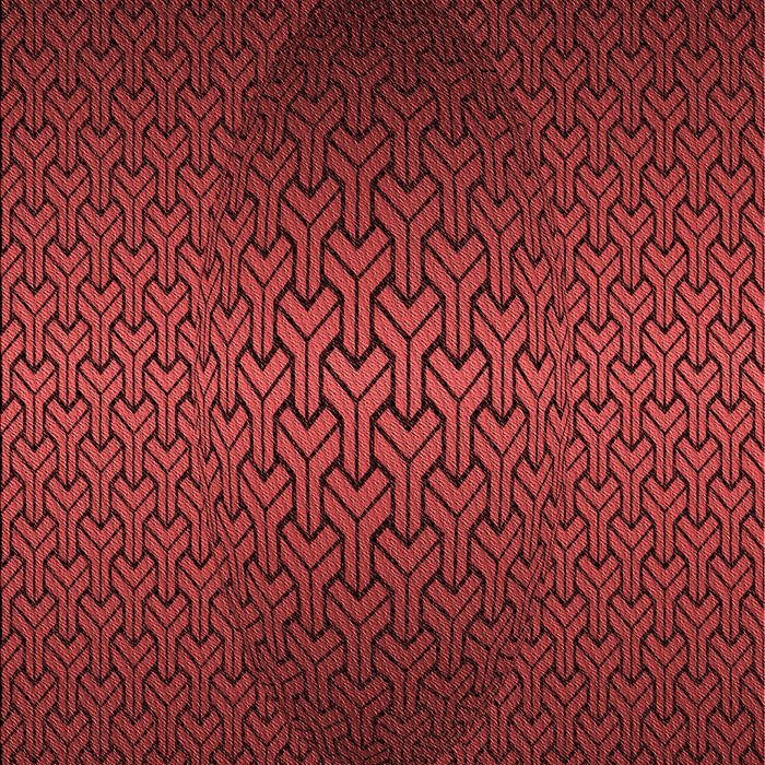 Machine Washable Transitional Red Rug, wshpat1460rd