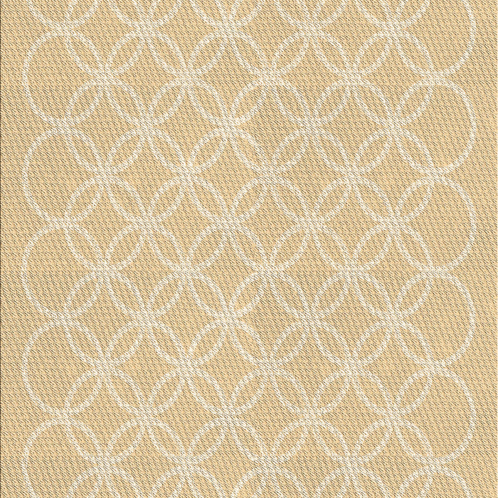 Machine Washable Transitional Khaki Gold Rug, wshpat1461brn