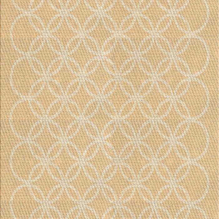 Machine Washable Transitional Khaki Gold Rug, wshpat1461org