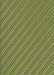 Machine Washable Transitional Pistachio Green Rug, wshpat1467brn