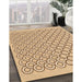 Machine Washable Transitional Brown Gold Rug in a Family Room, wshpat1485org