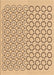 Machine Washable Transitional Brown Gold Rug, wshpat1485org