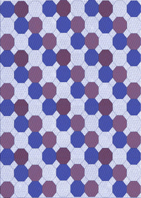 Machine Washable Transitional Amethyst Purple Rug, wshpat1486blu